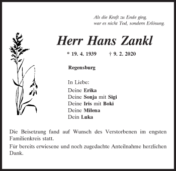 Traueranzeige von Hans Zankl von Mittelbayerische Zeitung Regensburg