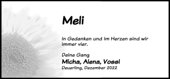 Traueranzeige von Meli  von Mittelbayerische Zeitung Regensburg