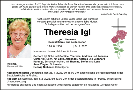 Traueranzeige von Theresia Igl von Mittelbayerische Zeitung Schwandorf
