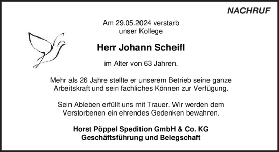 Traueranzeige von Johann Scheifl von Mittelbayerische Zeitung Gesamtausgabe