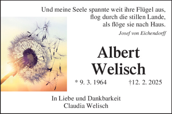 Traueranzeige von Albert Welisch von Bayerwald Echo