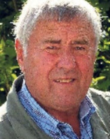 Profilbild Günter Feigl